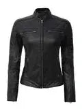 Austin Petite Women Black Cafe Racer Leather Jacket - Orca Cloths