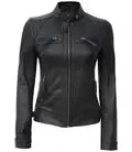 Women Petite Black Quilted Cafe Racer Leather Jacket Orca Cloths