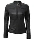 Dodge Women's Petite Black Lambskin Leather Motorcycle Jacket - Orca Cloths